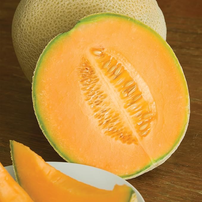 Burpee Heirloom Hale's Best Jumbo Cantaloupe Seeds - Sweet, Aromatic Melon