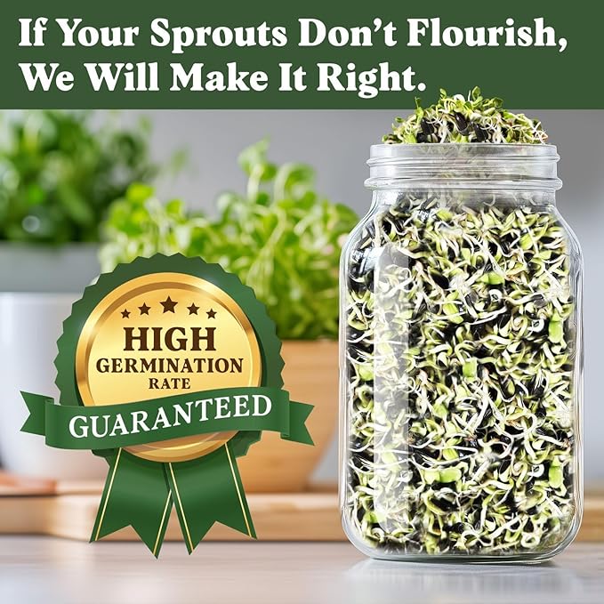 Seedboy Organic Sunflower Seeds for Sprouting - Non-GMO, USA Grown Microgreens Sprouting Seeds Mix - Makes 4 Quarts of Sprouts, 16 Servings (8 oz) (Black Oil Sunflower)