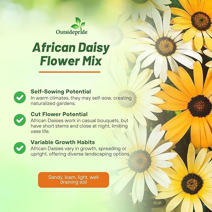 Outsidepride Mix African Daisy Seeds - 5000 Pcs. Annual Flower Seeds for Planting Outdoors with Long-Lasting Blooms, Drought-Tolerant, Easy to Grow for Sunny Gardens & Borders