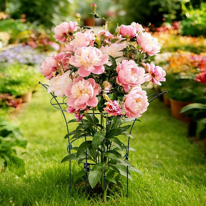 Fayoo 2 Pack Peony Cages and Supports with Twist Ties, 23.2" H X 13" D Heavy Duty Metal Plant Support Rings, Outdoor Flower Cage Garden Stakes for Peonies, Roses, Hydrangeas, Climbing Vines