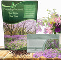 Outsidepride Dame's Rocket Flower Seeds - 1/4 Lbs. Perennial, Easy to Grow, Deer Resistant & Self-Seeding Wildflower Seeds for Planting Vibrant and Fragrant Blooms in Pollinator & Butterfly Gardens