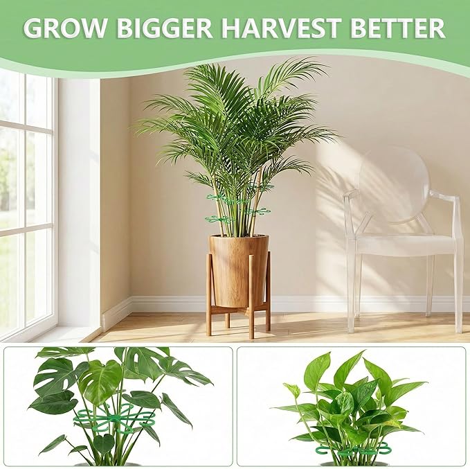 16PCS Plant Stem Support for Indoor Plants, Climbing Houseplant Stem Supports, 4 Sizes Reusable Clips for Monstera, Orchid & Pothos, Climbing Stem Holders (Green)