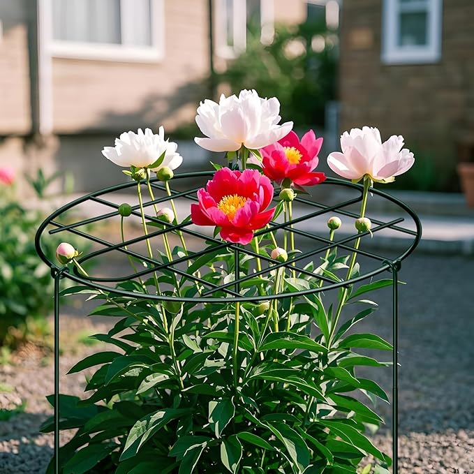3 Pack 24 x 29.5 Inch Peony Cages and Supports Grow Through Plant Grid Support,Metal Plant Brace Support Peony Rings Hoops for Outdoor Plants Vegetables,Rose,Tomato,Orchids