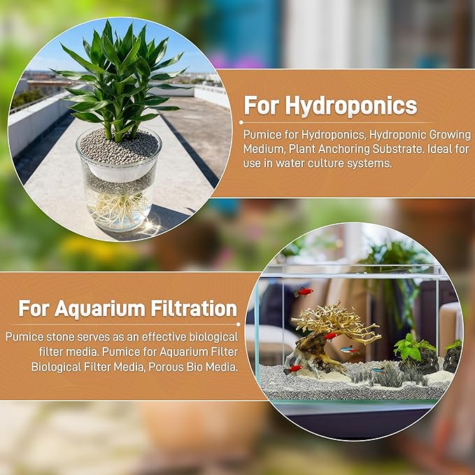Pumice for Plants, 3 Quarts (1/4 Inch) Horticultural Pumice Stone, Natural Soil Amendment for Succulent Cactus Bonsai for Orchid Potting Mix, Improve Drainage & Aeration