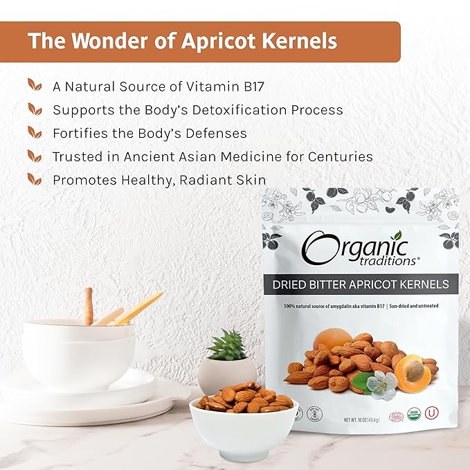 Organic Traditions Apricot Kernels – Sundried - Natural Source of Vitamin B17 – Sweet & Bitter Raw Apricot Seeds – 16oz