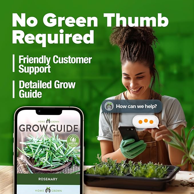 HOME GROWN Non GMO Rosemary Seeds Pack - 150 High Germinating Heirloom Herb Seeds for Planting in Indoor or Outdoor Herb Gardens (Salvia rosmarinus)