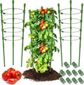 Legigo 3 Pack 30 Inch Plant Support Cages Tomato Cage for Garden- Plant Cages Adjustable Rings, Tomato Plant Support Stakes Trellis for Pots, Peppers, Cucumbers and Flowers with 10 Plant Clips