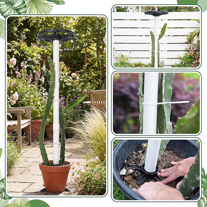 BreezeHug 2 Pcs Dragon Fruit Trellis 12 x 50 Inch PVC Vertical Garden Support for Climbing Vines, Tomatoes, Cucumbers, Beans, Vertical Garden Trellis, Requires Assembly