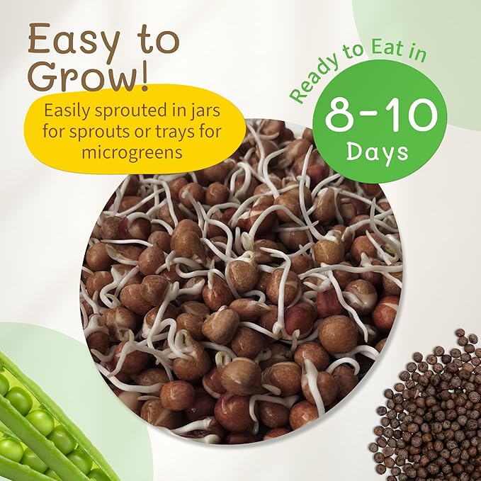 The Sprout House Speckled Pea Seed - Organic Speckled Pea, Non-GMO, High Germination Sprouting Seeds for Nutritious Pea Shoots, Resealable Bag for Freshness, Perfect for Smoothies & Salads, 1LB