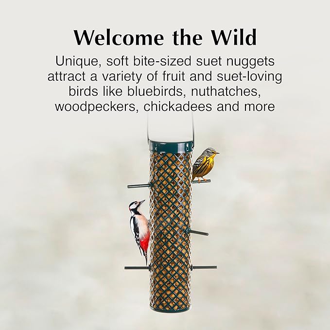 C&S Wild Bird Bluebird Suet Nuggets Mega Box, 8 Pounds