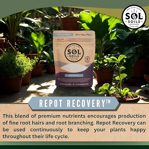 Sol Soils Sol Biotics Repot Recovery - Plant Root Stimulator, Treatment from Stress of Transplant Shock & Growth Support Supplement for Roots - 4oz
