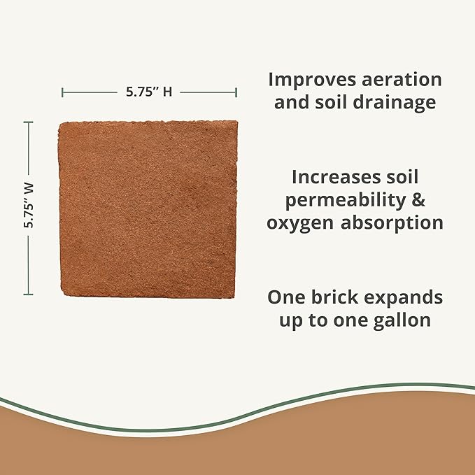 Coco Bliss 250gm Bricks (10-Pack) + Perlite Bliss (8 Qts) - Organic Coco Coir for Plants & Horticultural Perlite for Plants - Coconut Coir Bricks - Bulk Garden Soil & Potting Soil Mix