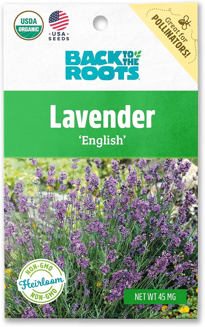 Back to The Roots 100% Organic Seed Packet - Lavender 'English'