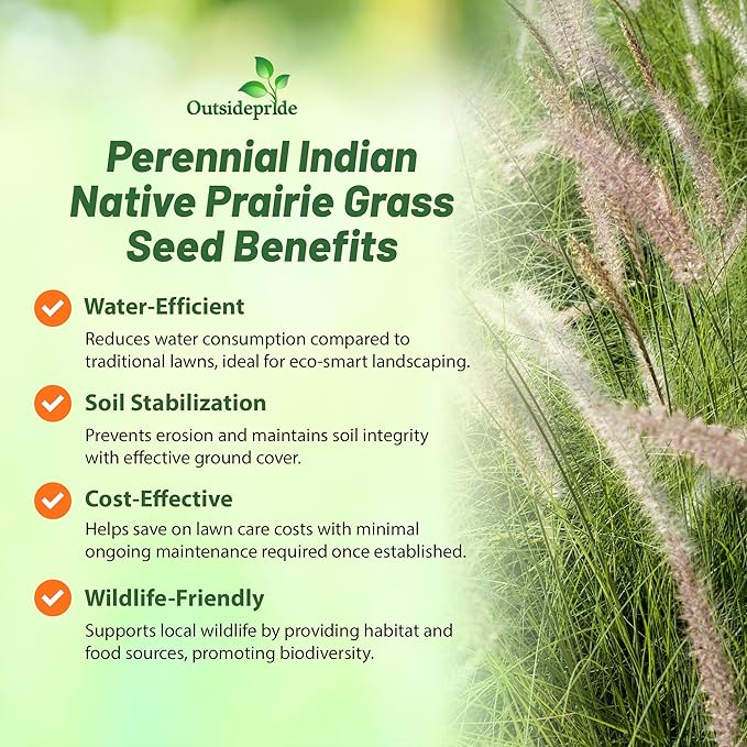 Outsidepride Indian Native Grass Seed - 10 lbs. Perennial, Low Maintenance, Drought-Tolerant Prairie Grass Seed for Wildlife Habitat, Livestock Forage, Ornamental Landscaping & Erosion Control