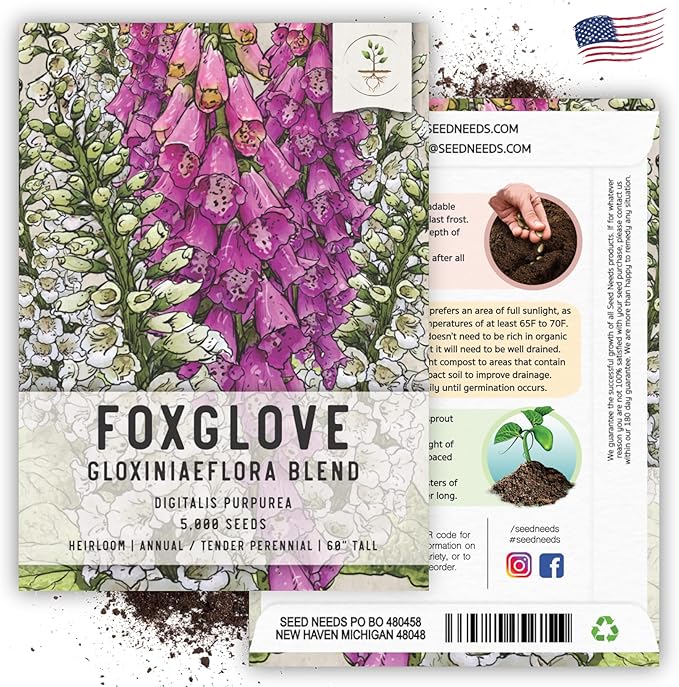 Seed Needs Foxglove Seeds for Planting Gloxiniaeflora Mix Fox Glove - Heirloom & Open Pollinated Flowers to Plant an Outdoor Butterfly Garden with Colorful Wildflowers (1 Pack)