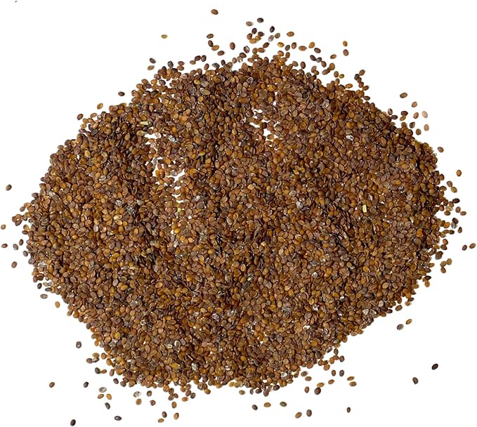 Seed Needs Royal Carpet Alyssum Seeds for Planting - Heirloom & Untreated - Tender Perennial Flowers to Attract Pollinators to Rock Gardens, Pots, Containers & Window Boxes (1 Pack)