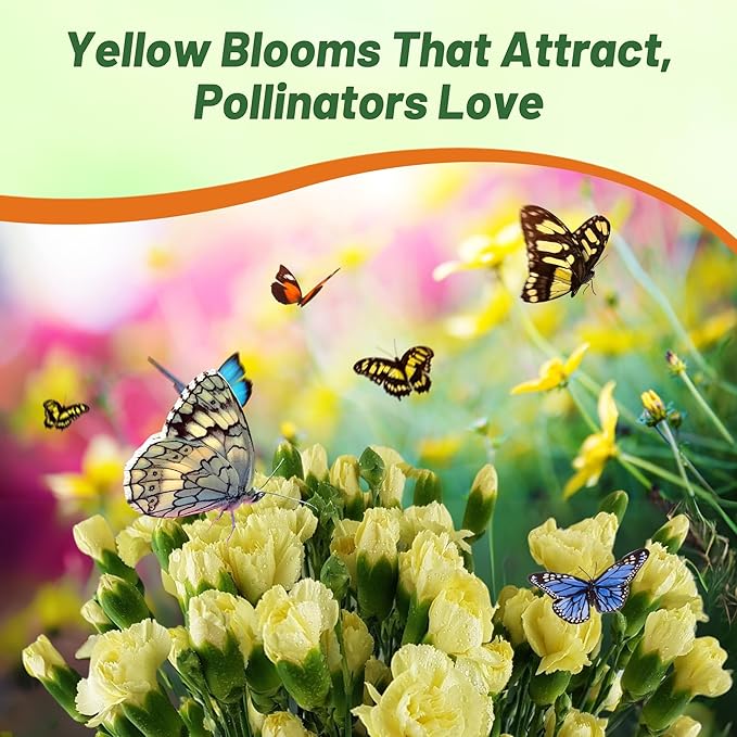 Outsidepride Yellow Carnation Seeds - 2000 Pcs Biennial, Easy to Grow Flower Seeds for Planting with Fragrant Blooms, Ideal for Pollinators, Cutting Gardens, Bouquets, & Floral Arrangements