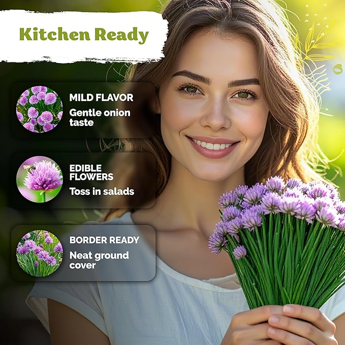 KVITER 1200 Chive Seeds (Allium schoenoprasum) - Know as Onion or Garlic Chives Chives, Mild Flavor -Non GMO & Heirloom Herb Seeds for Planting in Outdoor & Indoor Garden, Borders, Containers