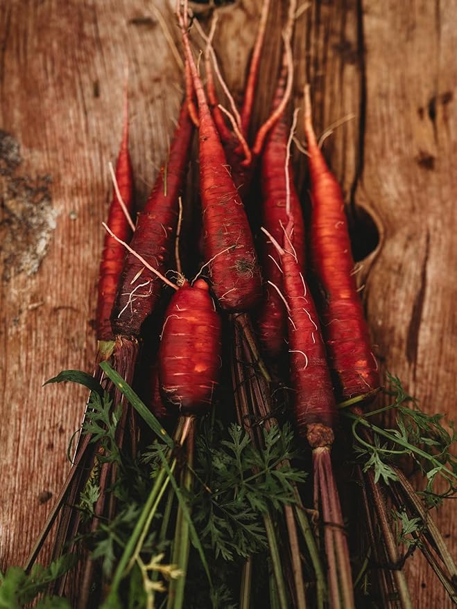 Dragon Red Carrot - 150 Seeds - Rare Heirloom & Open-Pollinated Variety, Non-GMO Vegetable Seeds for Planting Indoors or Outdoors in Containers or The Home Garden, Thresh Seed Company