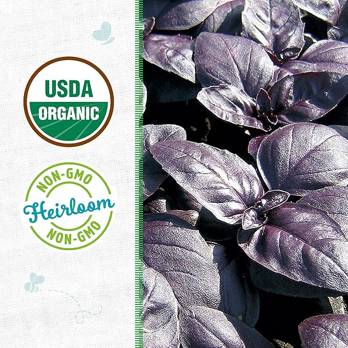 Back to The Roots 100% Organic Seed Packet - Basil 'Red Rubin' 300mg