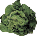 Park Seed Lettuce Salad Mix Edible Plant Seeds, Easy to Grow, Perfect for Spring Gardens, Butter Crunch, Pack of 1000