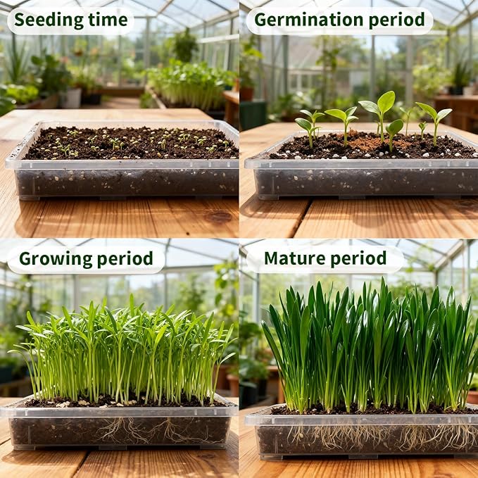 Clear Seed Starter Trays 5 Pack(17"x11"x2"), Reusable Plastic Carrying Seedling & Nursery Trays, Durable Flat Pots Trays, Transparent Square Tray for Planting and Collecting Drainage Water