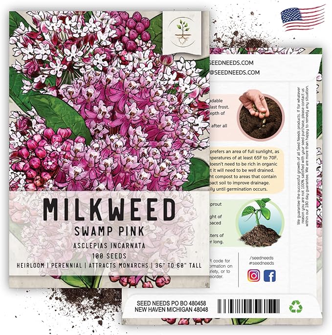 Seed Needs Pink Swamp Milkweed Seeds for Planting - Heirloom & Untreated - Grow a Butterfly Garden to Attract Monarch Butterflies & Pollinators (1 Pack)