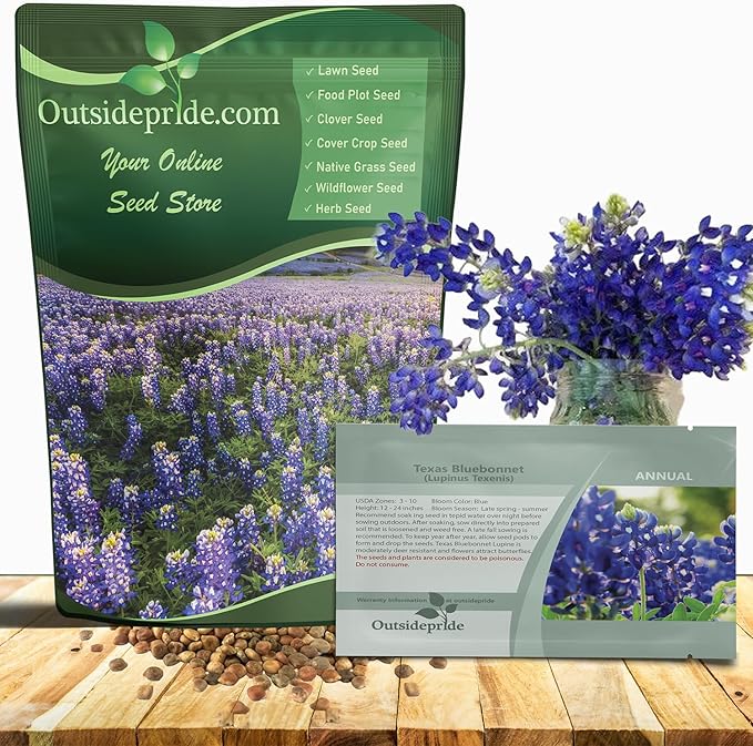 Outsidepride Texas Bluebonnet Seeds - 1 lb. Annual Lupinus Texensis, Heirloom Quality, Drought-Tolerant Wildflower Seeds w/Blue Blooms for Vibrant Spring Displays, Landscape, & Attracts Pollinators