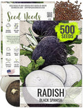 Seed Needs Radish Seeds for Planting Black Spanish Radishes - Non-GMO, Heirloom & Untreated - Grow a Home Grown Vegetable Garden - Cool Weather Crops (1 Pack)