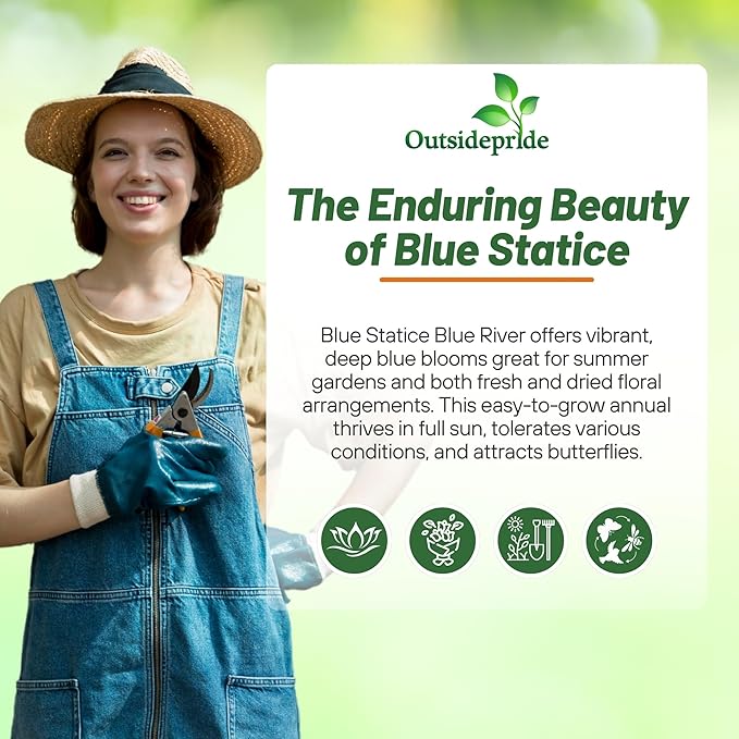 Outsidepride Blue Statice Flower Seeds - 2000 Pcs Annual Easy to Grow Drought Tolerant Flower Seeds for Floral Arrangements, Borders, & Pollinator Garden