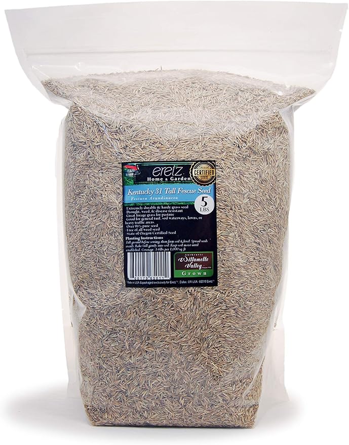 Kentucky 31 K31 Tall Fescue Grass Seed by Eretz - Choose Size! State Certified, No fillers, No Weed or Other Crop Seeds (5lbs)