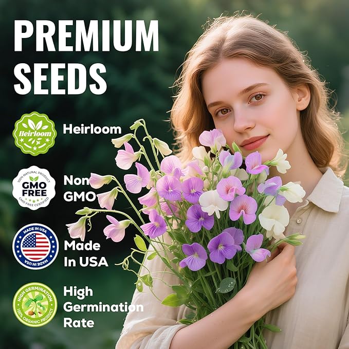 PLANTMEW Sweet Pea Seeds 200 Seeds - Non-GMO Heirloom Organic Seeds Brightly Colored Flowering Vines for Pergolas, Flower Beds, Balconies and Patios