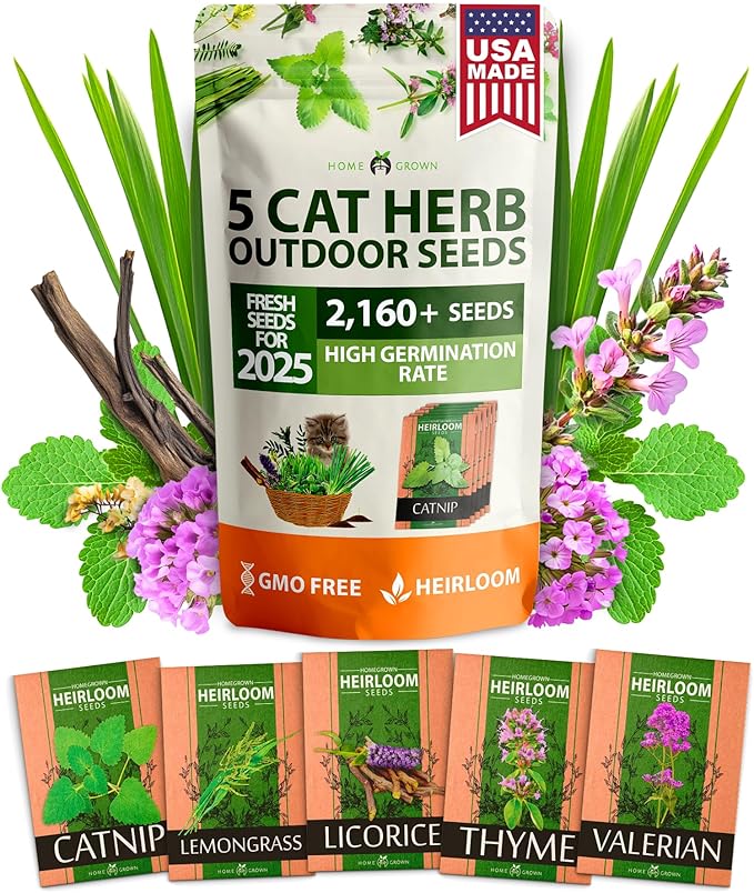 HOME GROWN 2,160+ Cat Plant Seeds Mix – Non GMO Heirloom Catnip, Lemongrass, Licorice, Thyme & Valerian – Pet-Friendly Indoor Garden Refill Kit for Cats & Kittens