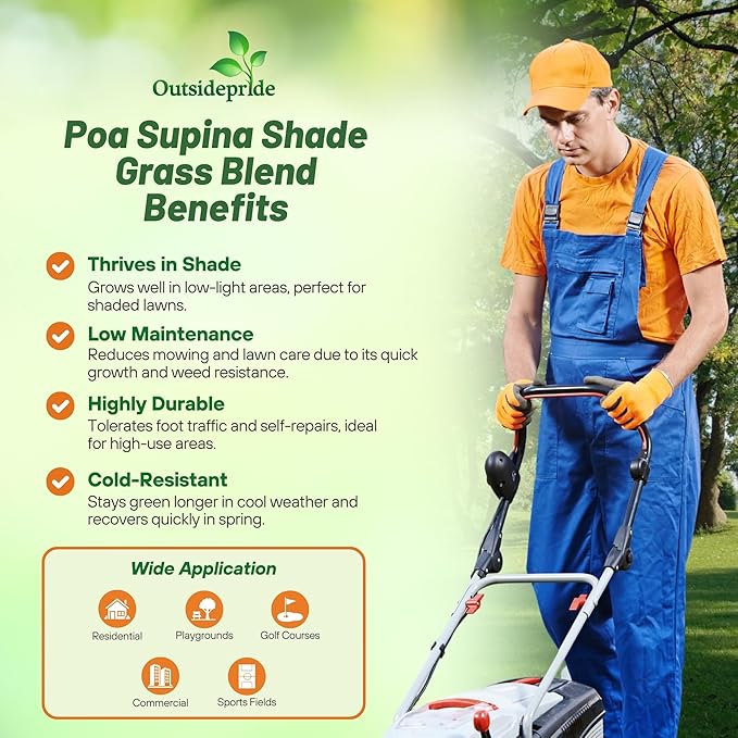Outsidepride 1 Lb Supranova Shade Grass Mix of POA Supina & Rough Bluegrass - Shade Tolerant Grass Seed for Golf Courses, Athletic Fields, & Outdoor Lawns, OptiGrowth Coated for Seed Enhancement