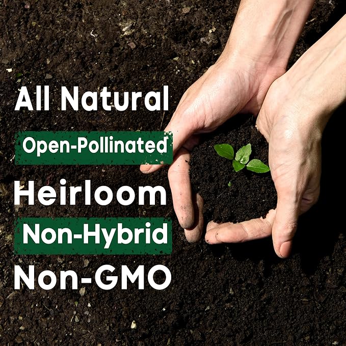 Starter Seed Kit: 15,000+ Seeds, 40 Heirloom Fruit & Vegetable Varieties – Perfect Gardening Gift - Planting Instructions - Indoors, Outdoors, or Hydroponically