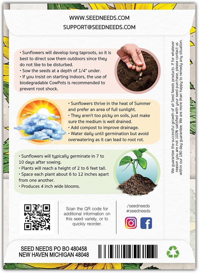 Seed Needs Sunflower Seeds for Planting Wild Sunflowers - Heirloom & Open Pollinated Flower Seed to Plant an Outdoor Wildflower Butterfly Garden (1 Pack)