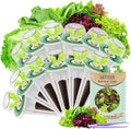 Salad Seed Pods, 12 Pods Grow Anything Kit for All Hydroponics Growing Systems with 300mg Varity Seeds of Buttercrunch, Black Seeded Simpson, Oakleaf, Prizehead, Red Salad Bowl and so on