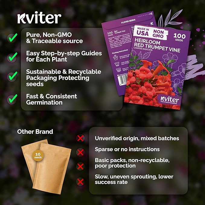 KVITER 100 Red Trumpet Vine Seeds for Planting (Campsis Radicans) – Trumpet Creeper, Organic & Heirloom Hummingbird Vine – Perennial Flower Seeds to Plant Outside – Fences, Trellises & Outdoor Garden