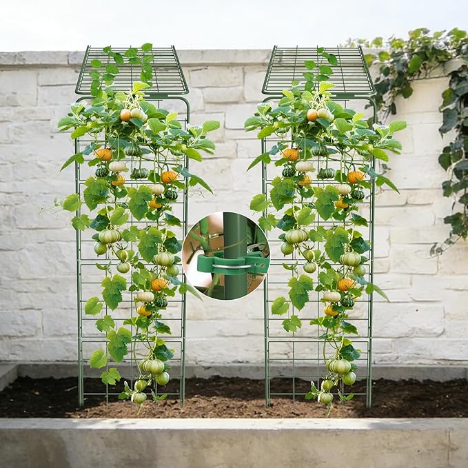 Heavy Duty A-Frame Metal Garden Trellis for Climbing Plants, 50"x17" Inch Tall Plant Support with Clips & Garden Ties for Cucumbers, Squash, Beans & Vines (1)
