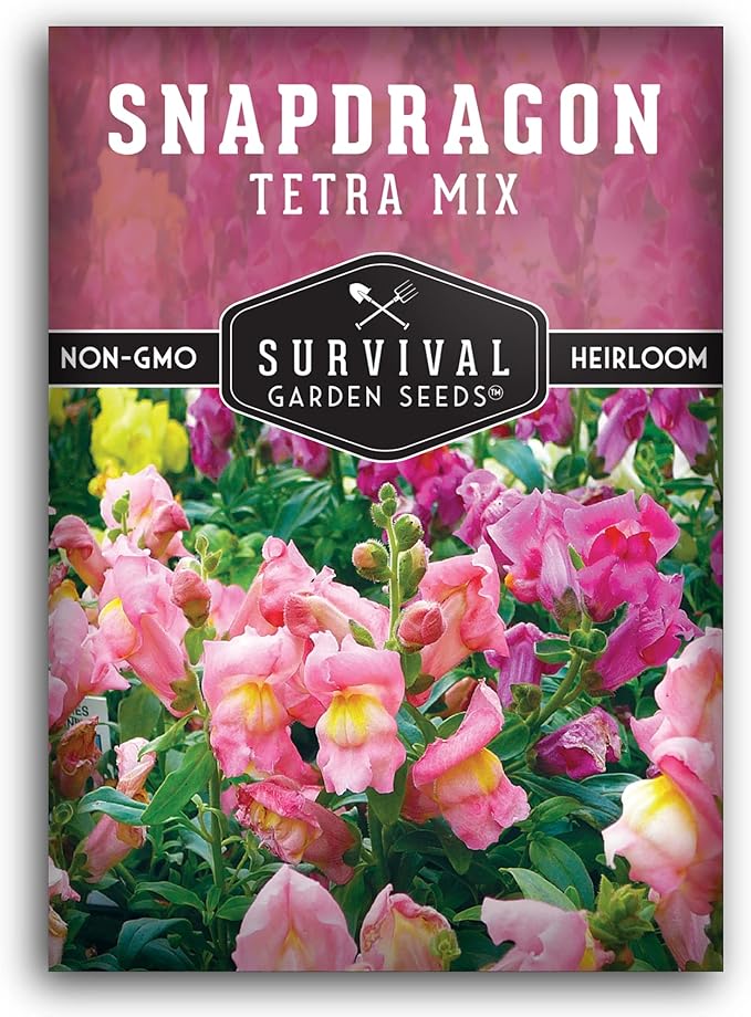 Survival Garden Seeds - Snapdragon Tetra Mix Seed for Planting - Packet with Instructions to Plant and Grow Beautiful Colorful Flowers in Your Home Vegetable Garden - Non-GMO Heirloom Variety