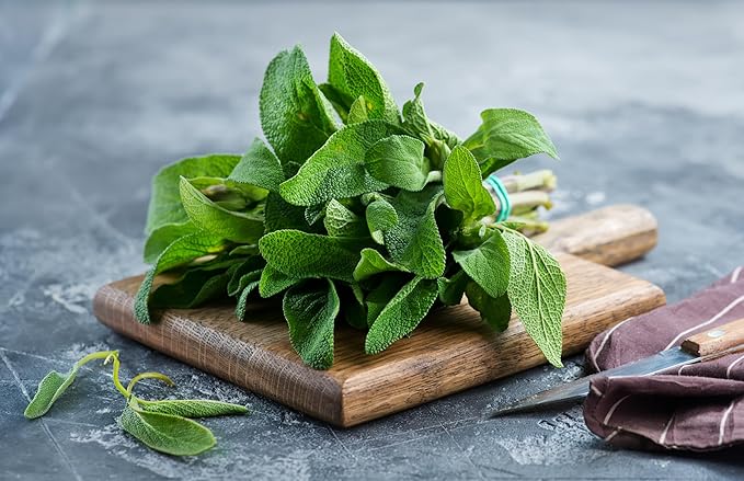 TKE Farms & Gardens - Sage Seeds for Planting - 120+ Heirloom Non-GMO Sage Seeds, Ideal for Indoor & Outdoor Gardens, Great for House Plant Seeds, Salvia officinalis, Includes Growing Instruction