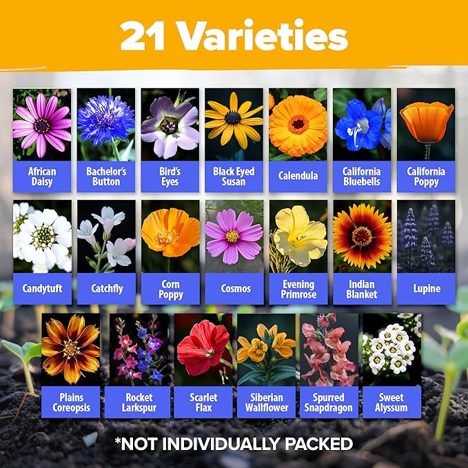 HOME GROWN Wildflower Seeds Mix - 110,600+ Seeds 3 oz, 21 Varieties, Non-GMO Wild Flower Seeds for Planting, Annual Flowers, Butterfly Garden, Pollinator Seed Mix