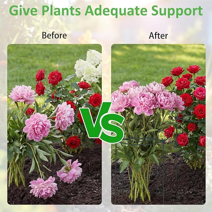 Pelopy 4 Pack 15.7" D x 23.6" H Heavy Duty Peony Cages and Supports, Metal Plant Support Stakes, Flower Support Hoops for Outdoor Garden Roses, Tomatoes, Hydrangeas, Peonies, Sage, Cucumbers