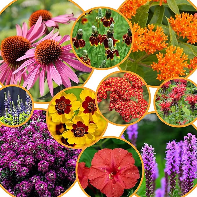 Garden Peeps Perennial Wildflower Pollinator Seed Pack - 10 Unique Varieties, 100% Pure, Non-GMO, Eco-Friendly Seeds for Year-Round Blooms