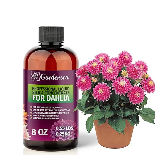 𝐏𝐑𝐄?𝐈𝐔𝐌 Liquid Silica Plant Supplement - 8oz (250mL) - Dahlia Plants Liquid Silica Boost Fertilizer - Stronger Stems & Healthy Leaves for Indoor & Outdoor Dahlia Plants (Makes 45 Gallons)