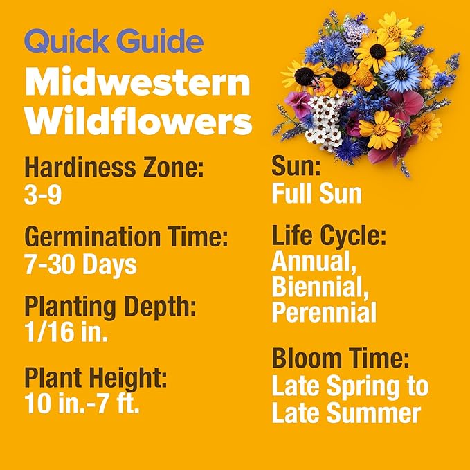 HOME GROWN 65,000+ Wildflower Seeds Heirloom Perennial Flower Seeds Mix for Attracting Bees Birds & Butterflies, High Germination (Midwest, 4 oz)