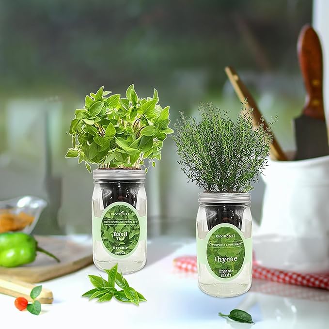 2-Pack Hydroponic Mason Jar Herb Garden Kit, Indoor Herb Garden Self-Watering Starter Kit, New Christmas Gift for Mom (Thyme,Thai Basil)