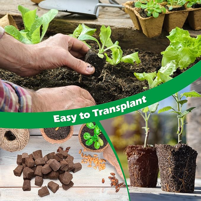50 Pcs Square Hydroponics Pods, Seed Starter Sponge Pods for Seed Starter Plugs Grow Sponges for Indoor Outdoor Gardening