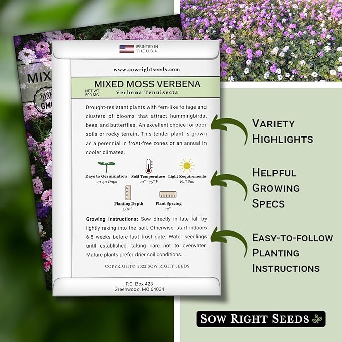 Sow Right Seeds - Mixed Moss Verbena (Verbena tenuisecta) Flower Seeds for Planting - Excellent Ground Cover - Non-GMO Heirloom Seeds - Creeping Perennial - Multicolor Blooms - Attract Pollinators
