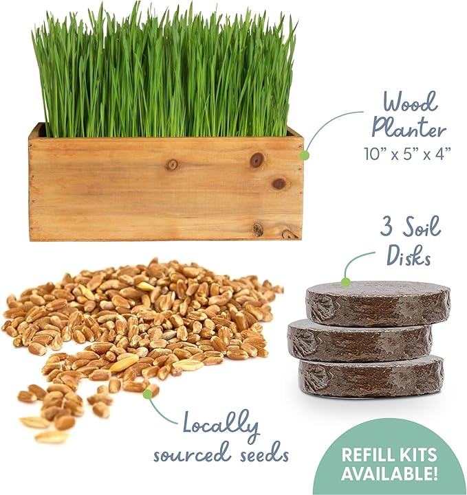 The Cat Ladies Cat Grass Kit with Rustic Wood Planter, Seed and Soil. Easy to Grow for Indoor or Outdoor Cats, Dogs and Other Pets. Prevent Hairballs and Aid Digestion